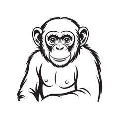 Chimpanzee Illustration Black and White