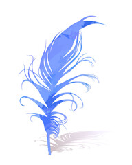 Watercolor stylized feather of a blue bird.
