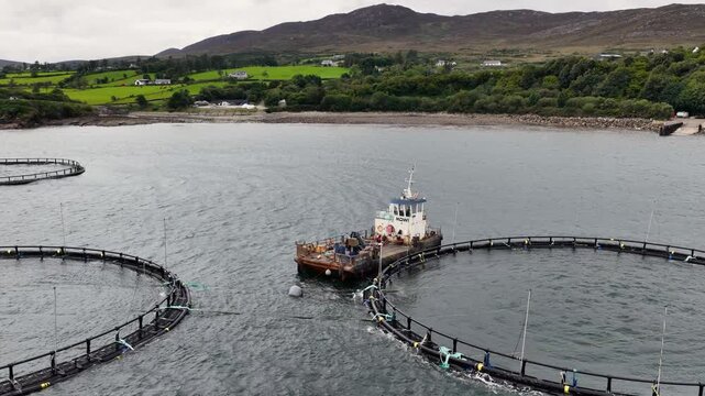 Aerial View of Mowi Fish farm and nets at Knockalla on the Atlantic Ocean Co Donegal Ireland 11-27-2025