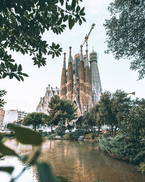 View of La Sagrada Familia rises majestically beyond the tranquil pond, framed by lush greenery, a blend of nature and architecture, Barcelona, Catalonia, Spain.
