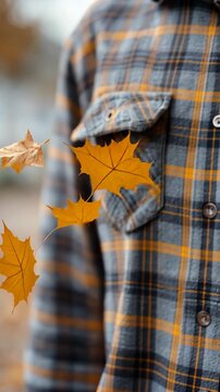Golden leaves falling around person in plaid shirt on autumn day