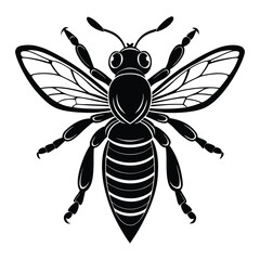 vector illustration of a bee