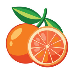 Fresh Orange Fruit Illustration