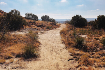 Desert hiking trail landscape. Sandy footpath through dry scrubland. Arid nature scenery under blue sky. Remote wilderness path perspective. Travel exploration outdoors. Quiet countryside terrain.