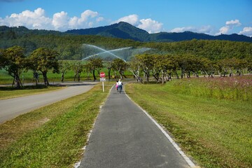 Beautiful Summer Landscape with Bicycle Track, Green Trees, and Mountain View