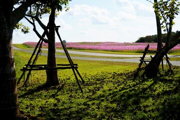 Peaceful landscape view of a flower garden through the shade of tropical trees