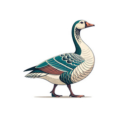 Goose vector art and illustration