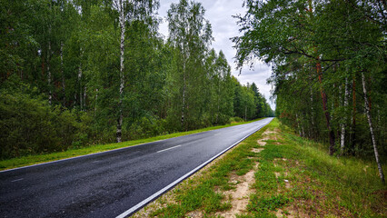 The road in the forest.