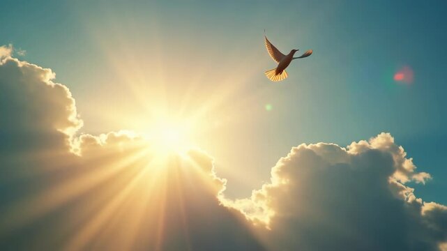 White dove flying toward radiant golden sunlight breaking through clouds in dramatic sky, concept of holy spirit, easter resurrection, christian faith, peace inspiration, spiritual freedom