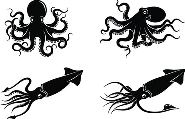 Silhouettes of octopus and squid marine life black and white on transparent background © FAM