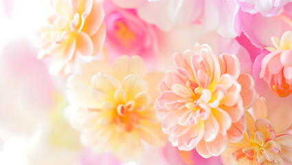 Soft peach floral arrangement with blurred petals and pastel hues in bright lighting