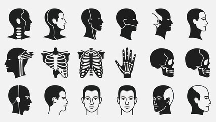 Human anatomy illustrations showing profiles and details in stark black and white