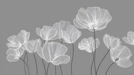 Flowers rise with shapes