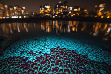 View of luminescent algae bloom with red mangrove flowers reflected on the water's surface against the bright city lights, Mumbai, Maharashtra, India.