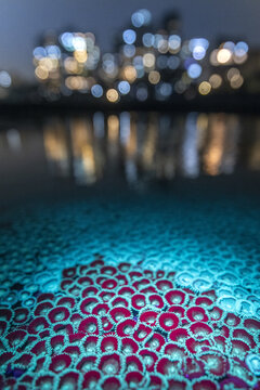 View of vibrant red and teal patterns in the foreground contrast with the blurred city lights reflecting on the water's surface, Mumbai, Maharashtra, India.