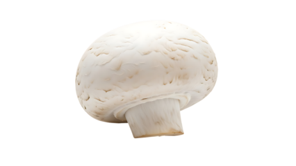 Marble bust of a classical male figure with a smooth texture