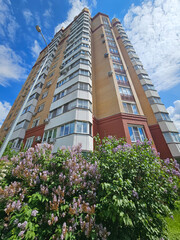 Tall building with a purple bush in front of it. The bush is full of purple flowers