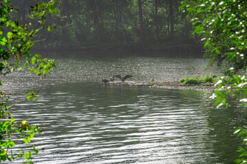 Ein verborgenes Königreich, behütet durch einen dichten Vorhang aus smaragdgrünen Blättern. Das Wasser funkelt und tanzt im Licht, als hätte jemand eine Handvoll Diamanten über die Oberfläche gestreut