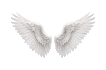 Pure white angel wings isolated on a clean white background, symbolizing spirituality, peace, protection, heaven, and divine purity in an elegant and minimalist style