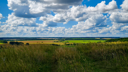 Hills with meadows and forests.