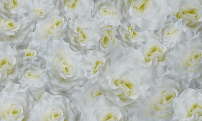 texture beautiful white and yellow roses flowers background, decor, nature, fashion, love, valentine, gift, copy space