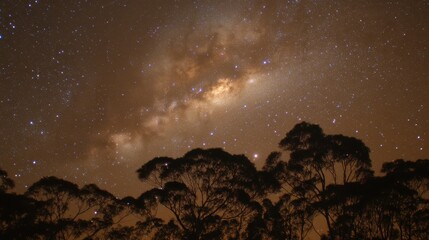 The Milky Way galaxy viewed from Earth during a starry night