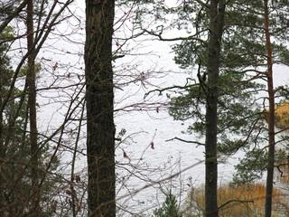 foggy autumn lake in a National Park in the Smolensk Region, Russia