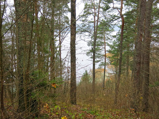 foggy autumn lake in a National Park in the Smolensk Region, Russia
