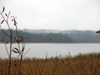 foggy autumn lake in a National Park in the Smolensk Region, Russia