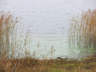 foggy autumn lake in a National Park in the Smolensk Region, Russia