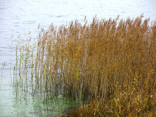 foggy autumn lake in a National Park in the Smolensk Region, Russia