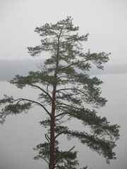 foggy autumn lake in a National Park in the Smolensk Region, Russia