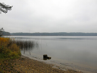 foggy autumn lake in a National Park in the Smolensk Region, Russia