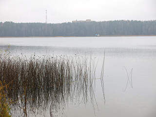 foggy autumn lake in a National Park in the Smolensk Region, Russia