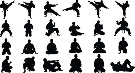Martial arts fighter silhouettes performing karate, taekwondo, and combat training poses, showcasing strength, discipline, balance, and self defense techniques illustration