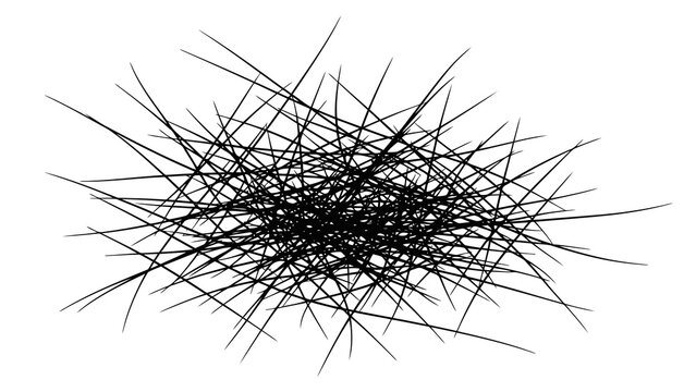 Abstract chaotic tangle of thin black lines on a white background, representing complexity