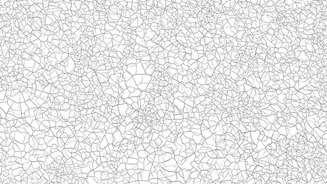 Abstract white background with a subtle, intricate network of thin gray lines creating a cracked ice or crystalline texture effect.