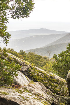 View of lush green trees and rugged terrain cascade down to meet distant hills, shrouded in a soft, hazy mist, Parco dei Sette Fratelli, Sardinia, Italy.