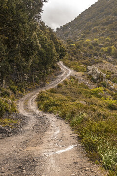 View of a winding dirt road snakes through the green and brown landscape, leading up into the clouded mountains, Parco dei Sette Fratelli, Sardinia, Italy.