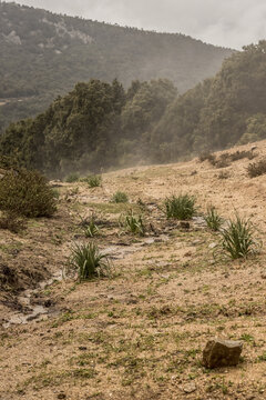 View of a rugged, sandy landscape with sparse vegetation and a small stream winding through it, framed by forested hills under a cloudy sky, Parco dei Sette Fratelli, Sardinia, Italy.