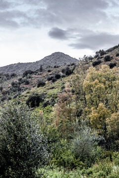 View of a rugged landscape where earthy greens and autumnal yellows blend under a moody sky, revealing nature's artistry. Parco dei Sette Fratelli, Sardinia, Italy.