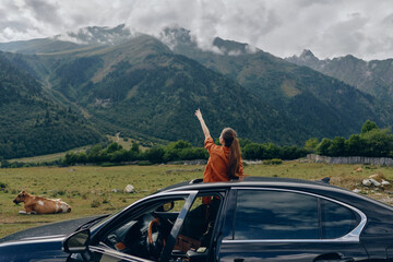 Fototapeta premium Woman in an orange jacket leans from a car window with arms raised, enjoying freedom in a vast mountainous landscape with a grazing cow and wide valley behind.