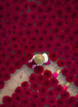 Aerial view of the red incense sticks are spread out in the yard for drying, creating a striking contrast with the worker's conical hat, Hanoi, Hanoi, Vietnam.