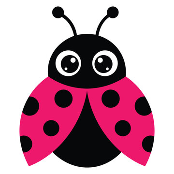 Cute pink ladybug vector illustration, adorable cartoon insect with big eyes and black spots isolated on white background.
