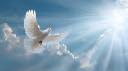 Fototapeta premium White dove flies gracefully through bright blue sky with sunbeams shining through clouds