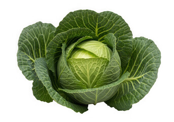 Obraz premium Fresh Green Cabbage Isolated on Black Background