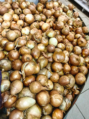 A pile of onions in a store
