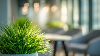 Green Oasis Plant life adds calming vibe to modern office space.