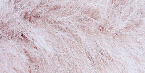 Soft pastel pink fluffy faux fur texture background. High quality photo