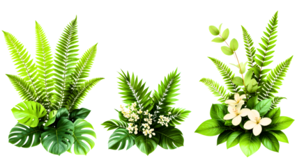 A trio of botanical art pieces, ideal for adding tranquility to any bedroom.